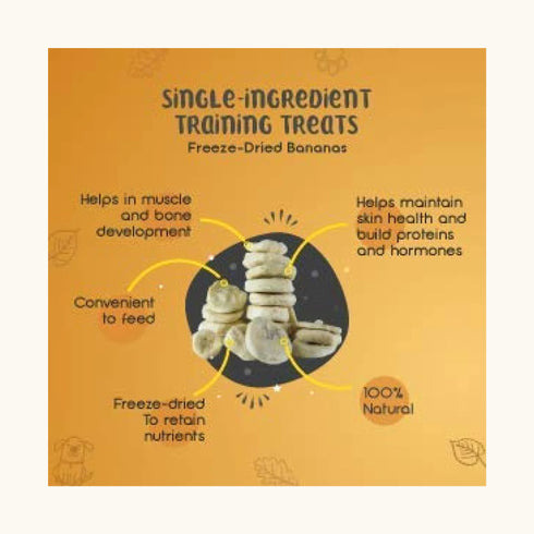 Dogsee Crunch Freeze Dried Banana Dog Treats